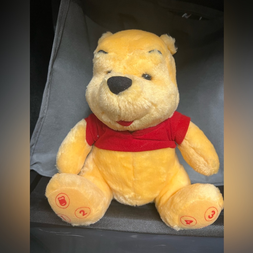 Disney Plush Pooh Bear with Red Shirt